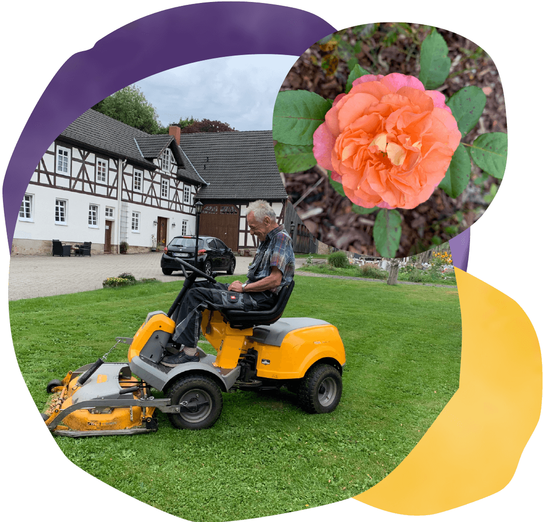 aussenanlage Aussenanlage pflegen und gestalten
