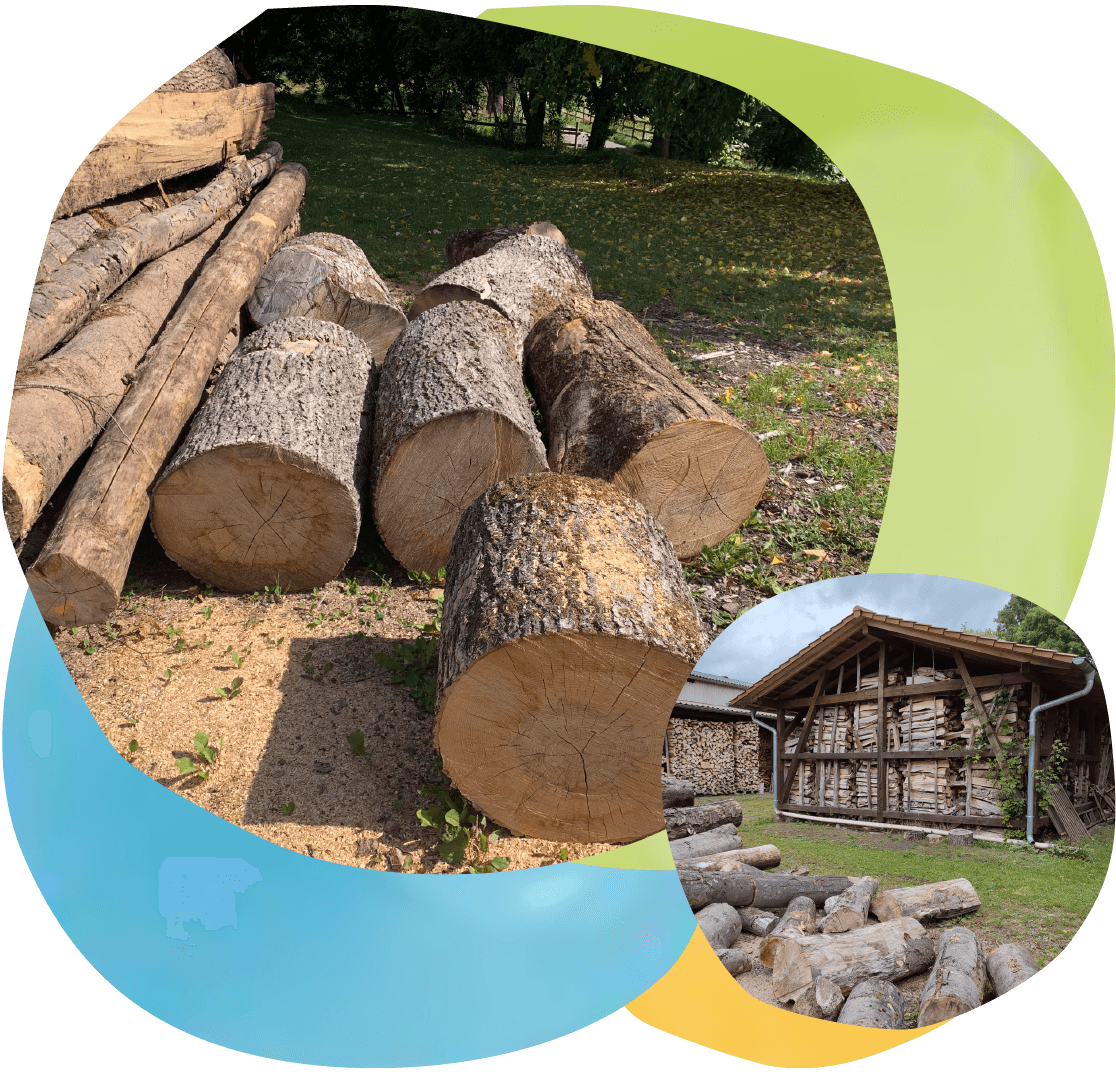 nutzholzgewinnung Nutzholzgewinnung