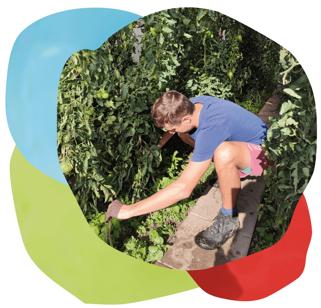 individuelle persönlichkeit